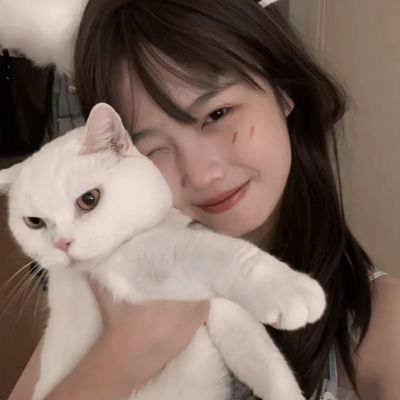 王者之逆三国手游
